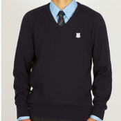 Standard Fit Cotton V-Neck Jumpers