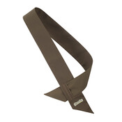  New Brownie sash