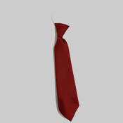 Elastic Tie