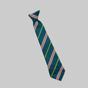 Tudor Grange Primary Clip On Tie