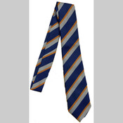 Northleigh Tie