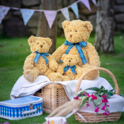 MM001mg - Bracken bear