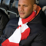 Team Scarf