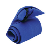 Premier Clip on Tie