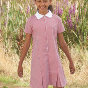 AVON ZIP FRONT GINGHAM DRESS