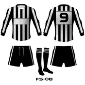 FS-08