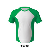 TS-01