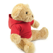 Mumbles Teddy Hoodie