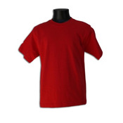 Our Lady of Mount Carmel PE T-shirt